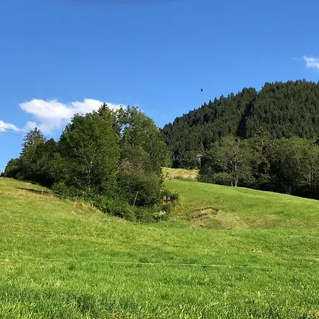 Bannwaldseestudio